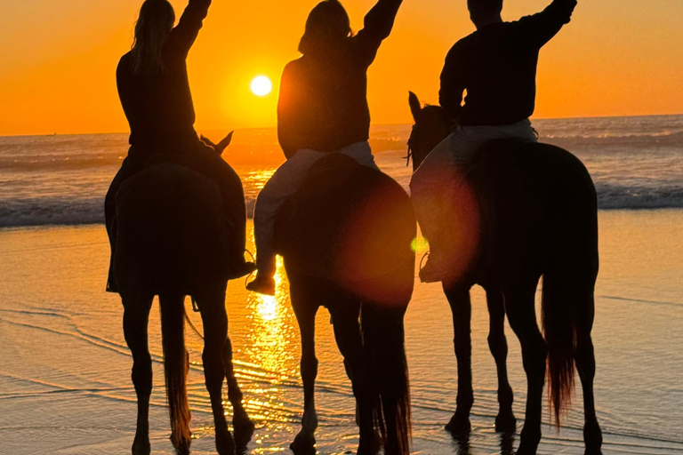 Taghazout: Private Horse Ride on Banana Beach with Pickup