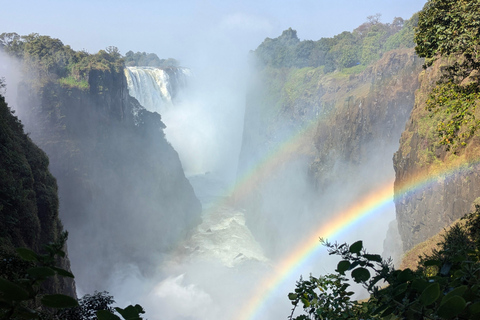 Victoria Falls: Historic Town Tour, Big Tree & Guided Walk