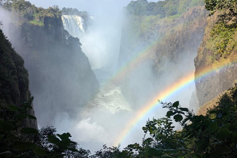 Victoria Falls: Historic Town Tour, Big Tree & Guided Walk