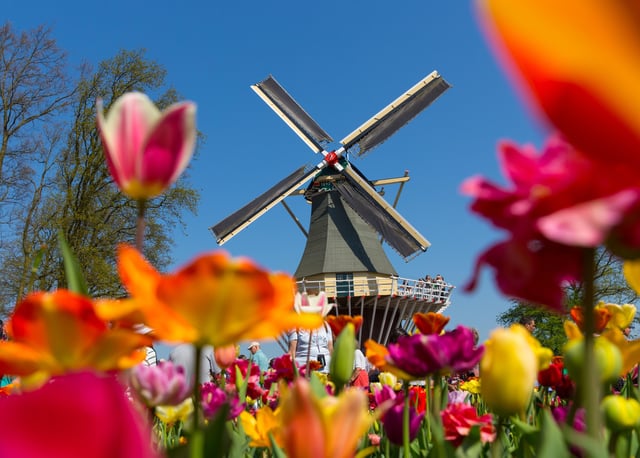 Amszterdamból: Keukenhof és Zaanse Schans szélmalomtúra