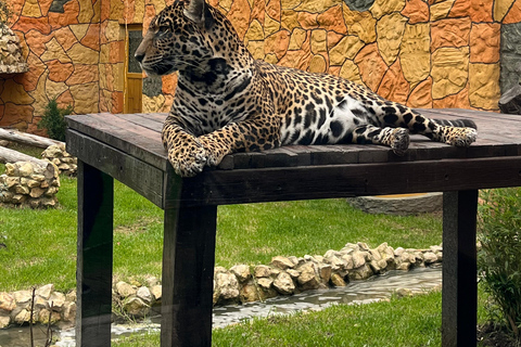 BOGOTA: Tour naar Jaime Duque Park, Dierentuin en Lucht- en Ruimtevaartmuseum