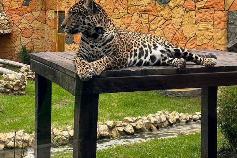 BOGOTÁ: Passeio ao parque Jaime Duque, zoológico e museu aeroespacial