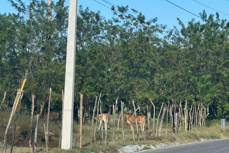 Puerto Plata Countryside & Village Panoramic Tour