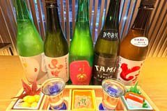 Fukuoka Nishinakasu: Japanische Sake-Verkostung mit 3 Vorspeisen