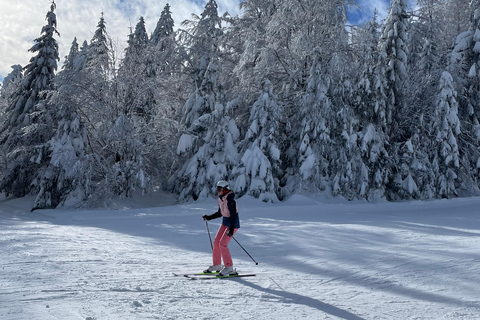 Guided ski tours in the Bavarian Forest