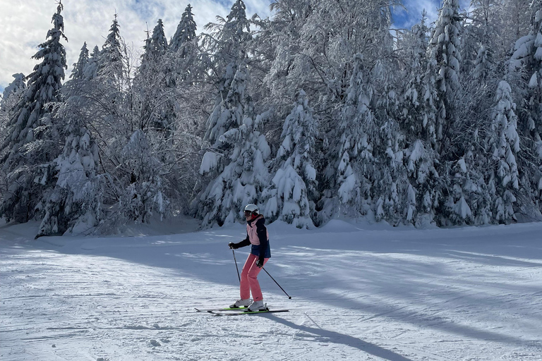 Guided ski tours in the Bavarian Forest