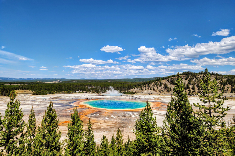 Yellowstone 2 Day Adventure - Upper and Lower Loop Tour