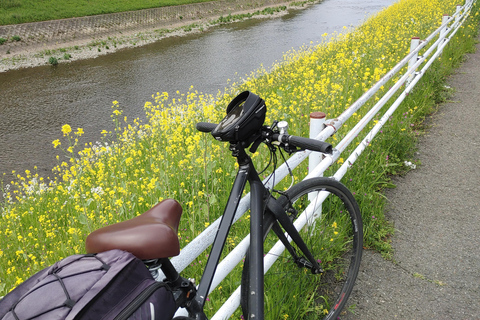 Kioto:Recorrido en Bicicleta por los Tres Jardines