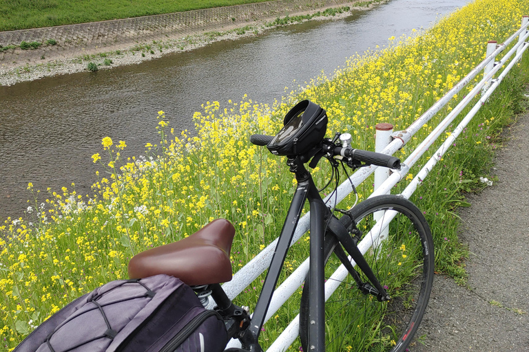 Kioto:Recorrido en Bicicleta por los Tres Jardines