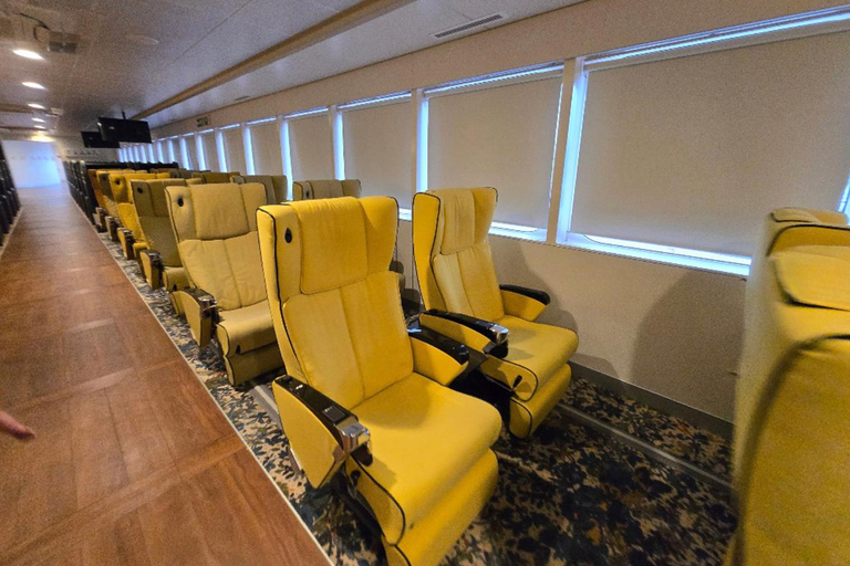 PanStar Busan Coastline Cruise & Sunset & Fireworks