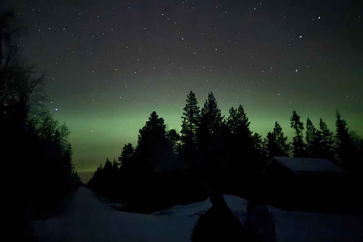 Sälen: Northern Lights Snowshoe Adventure with Pickup