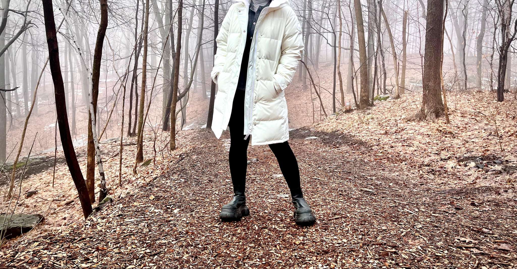 Montreal's Mount Royal Tour photo 16