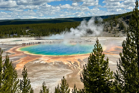 Yellowstone Tours from Jackson Hole | Wildlife & Scenic