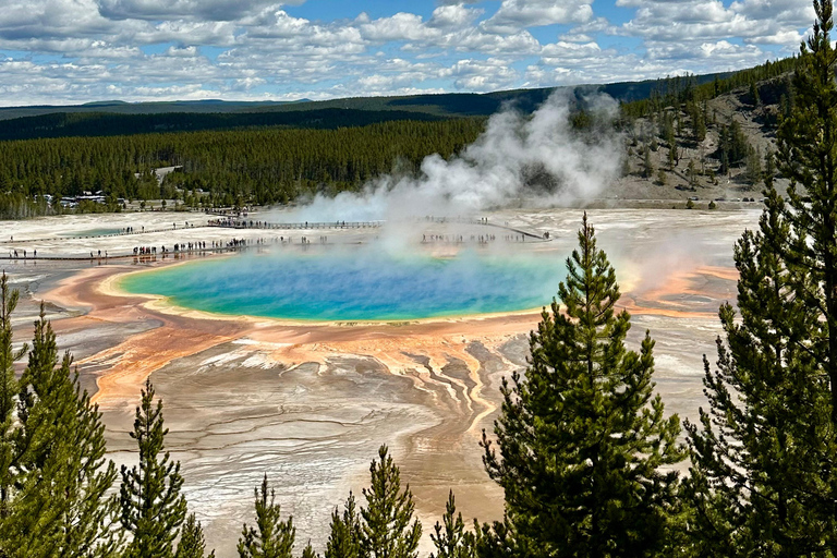 Yellowstone Tours from Jackson Hole | Wildlife & Scenic