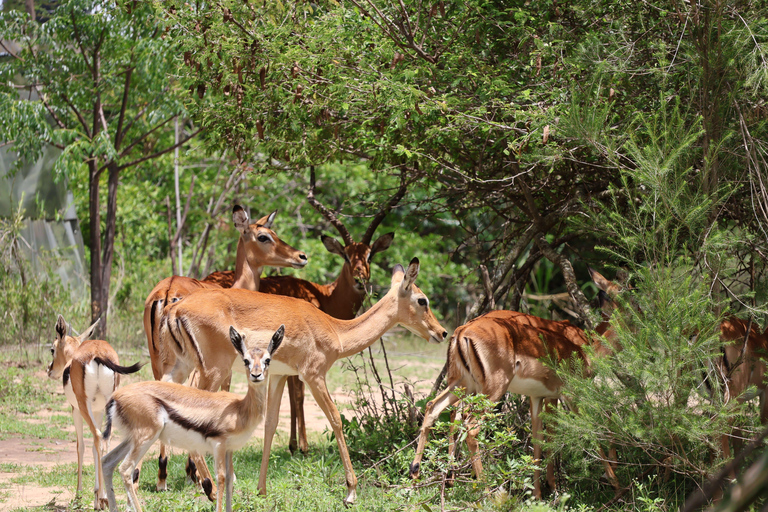 Nairobi: begeleide fietssafari met transfer en maaltijdNairobi: begeleide fietssafari met transfers (zonder maaltijden)