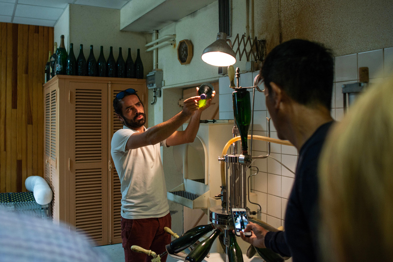 Reims: Tour giornaliero di Veuve Clicquot e delle cantine a conduzione familiare e pranzoReims: Tour di un giorno di Veuve Clicquot e di un&#039;azienda vinicola a conduzione familiare 