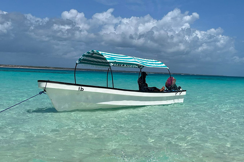 Zanzíbar : Excursión de medio día de snorkel en el atolón de Mnemba + delfinesExcursión de medio día de snorkel en el atolón de Mnemba + delfines