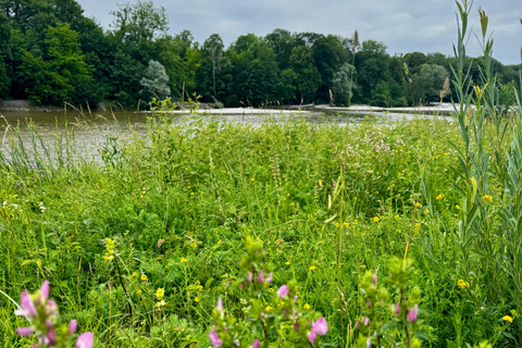 Munich: Healing Power on the Banks of the Isar - Rediscovering the Knowledge of Wild Herbs
