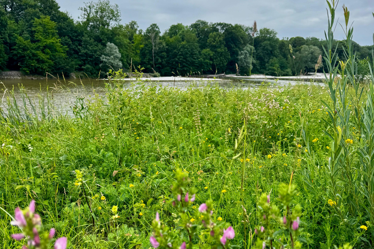Munich: Healing Power on the Banks of the Isar - Rediscovering the Knowledge of Wild Herbs