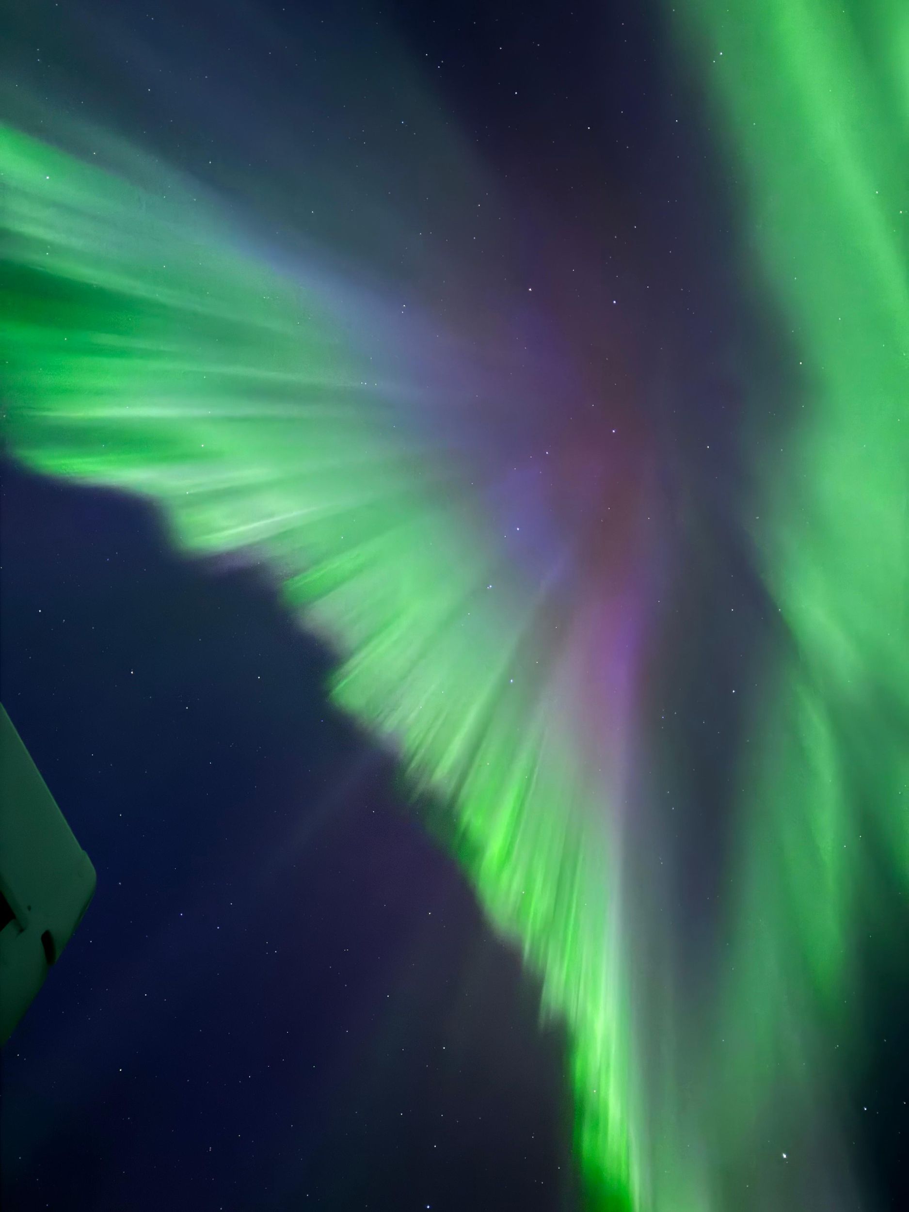 Yellowknife: Bustour zu den Nordlichtern