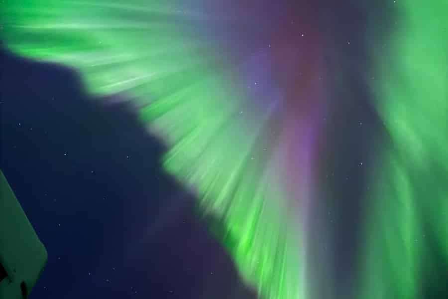 Yellowknife: Bustour zu den Nordlichtern. Foto: GetYourGuide