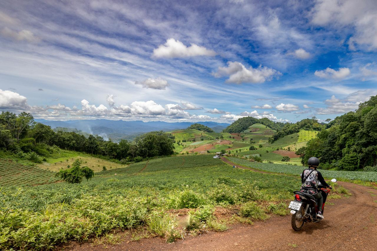 Scooter Adventure incl Elephants, Cave Chiangmai Backcountry scooter adventure incl. elephants