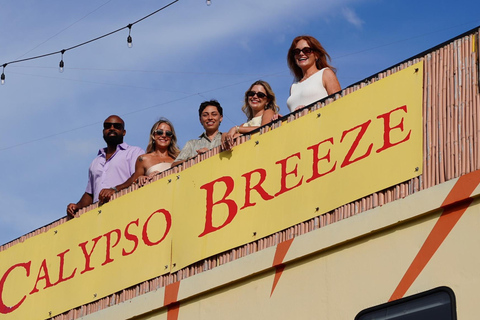 Madeira Beach: Calypso Breeze Cruise with Buffet Calypso Breeze - Evening Casual Cruise - with Buffet