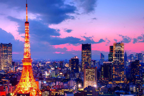 2 Tage private Tour tokyo Stadt &amp; Mount Fuji oder Hakone Tour