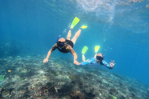 Nusa Penida: Snorkeling Adventure 3-Spots with Manta Rays Nusa Penida: Snorkeling Manta Point 3-Spots with Manta Rays