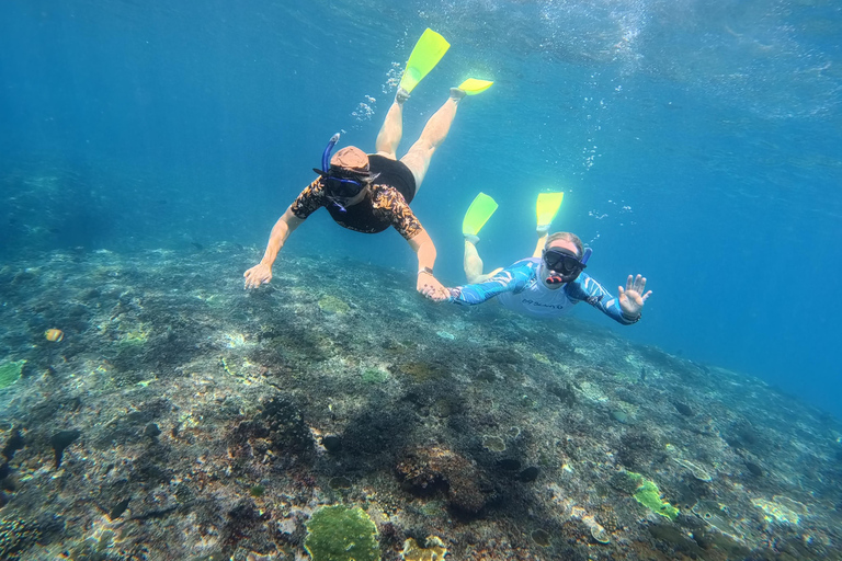 Nusa Penida: Snorkeling Adventure 3-Spots with Manta Rays Nusa Penida: Snorkeling Manta Point 3-Spots with Manta Rays