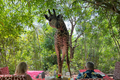 DIANI : PARTAGER UN REPAS AVEC DES GIRAFESPARTAGER UN REPAS AVEC DES GIRAFES