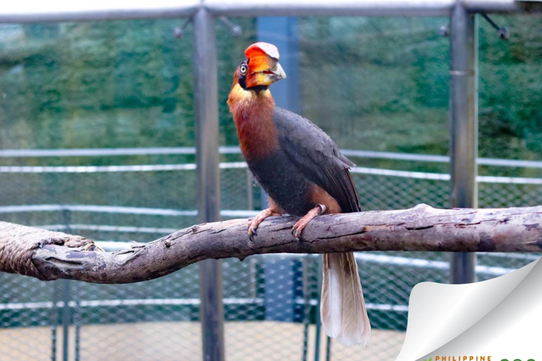 Ocean Park and Philippine Biodome Entry Ticket