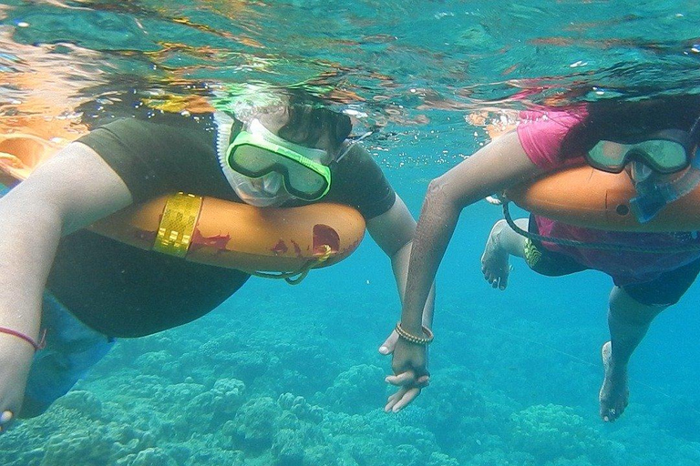 Snorkel en Miami para principiantes desde Bayside Market PlaceSnorkel