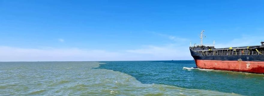 Excursion en bateau jusqu'à l'embouchure du Danube sur la mer Noire