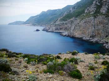 Marettimo: cruise from Trapani w/lunch and visit the caves