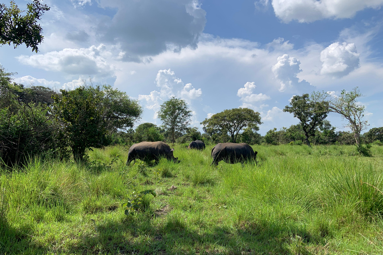 恩德培/坎帕拉：默奇森瀑布和齐瓦犀牛两日游