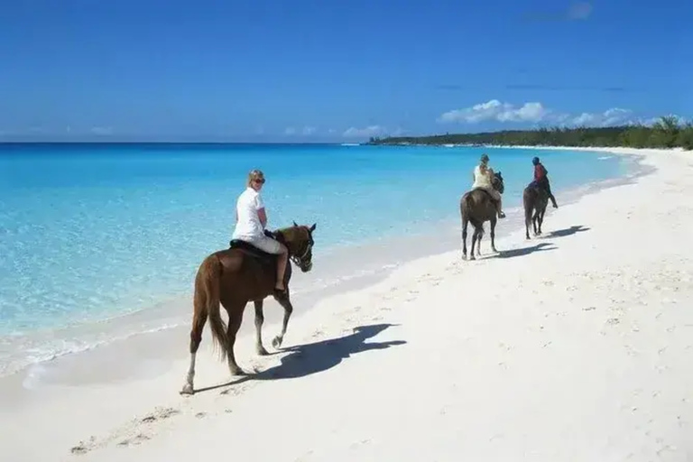 Punta Cana: Horseback Riding Adventure with Transfers