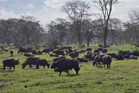 Naivasha: Bike ride through nature,with Optional Boat ride