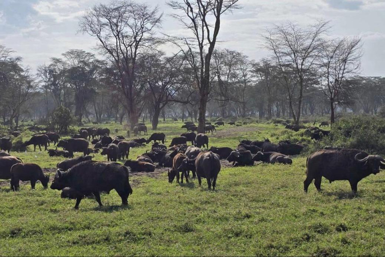 Naivasha: Bike ride through nature,with Optional Boat ride
