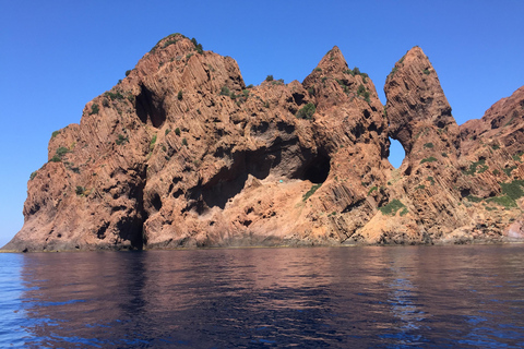 Calvi: Visite guidée en vedette vers Scandola et Girolata