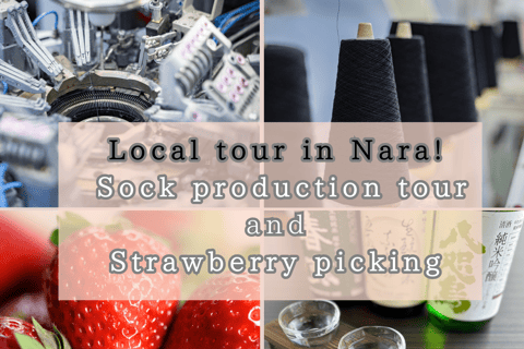 From Nara: Sock Factory Tour, Strawberry Picking, and Lunch