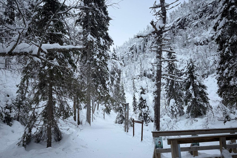 Rovaniemi to Ruka Roller Coaster & Korouoma Canyon Waterfall