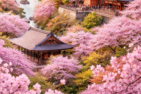 Kyoto: Private Highlight Day Tour with Guide and Vehicle