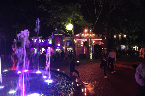 Foz do Iguaçu: Guided City Tour with Transport