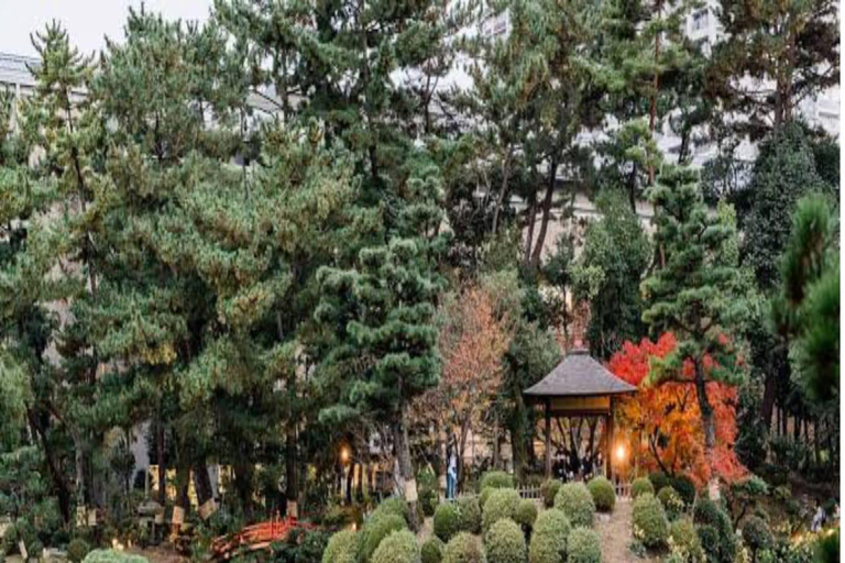 Hiroshima: Private Tour with Miyajima and Peace Park