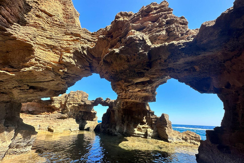 Dénia: Excursión en kayak por la Cova Tallada