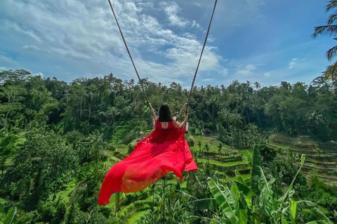 Ubud Monkey Forest, Temple, Rice Terrace and Waterfall Tour Day Tour With Private Tour & All Tickect Included