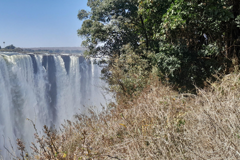 From Livingstone: Private Tour of Victoria Falls, Zimbabwe