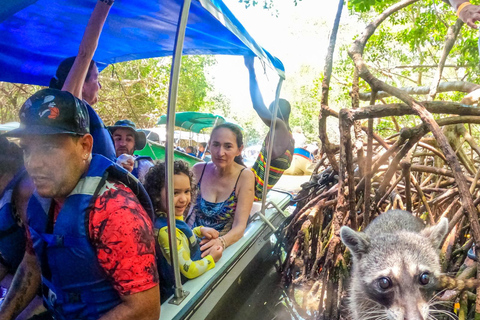 Escape from Cartagena to Isla de Baru and see the Mangroves!