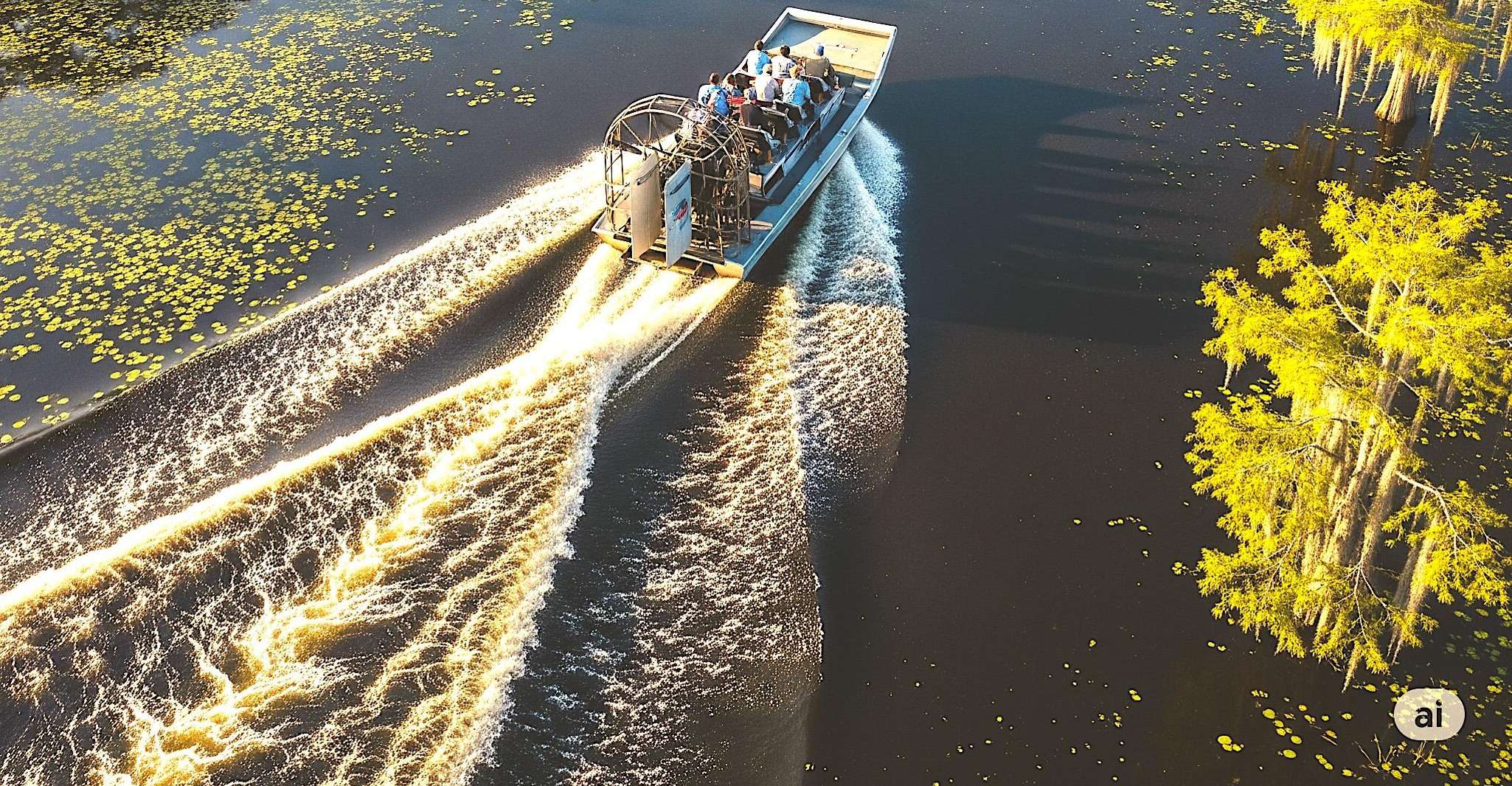 From Miami: Everglades Airboat Gator Spotting Tour photo 8